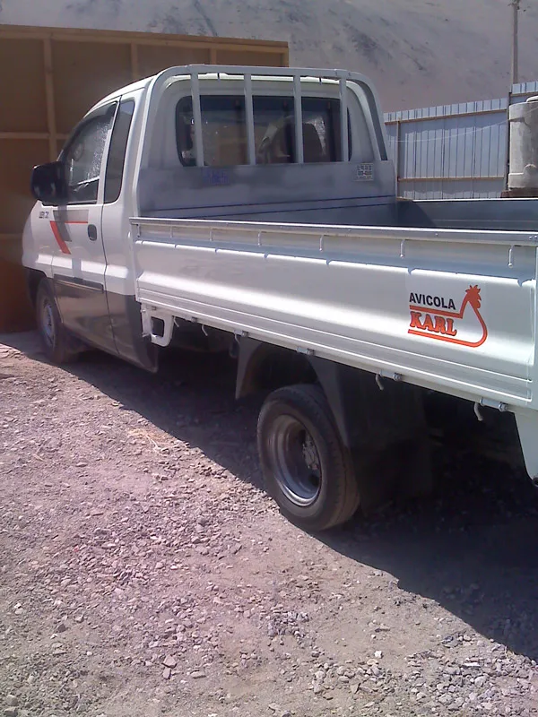 Camioneta de reparto