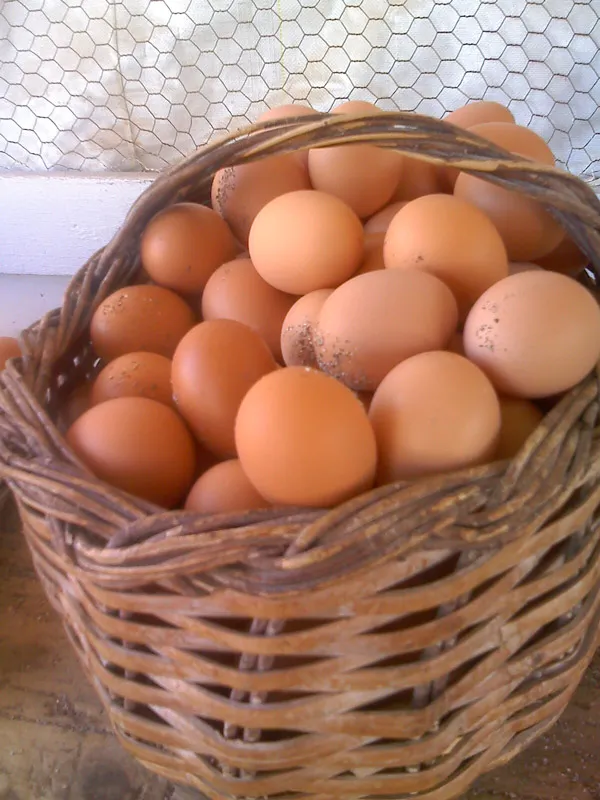 Canasto con huevos de color