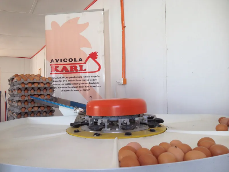 Mesa giratoria de recolección de huevos